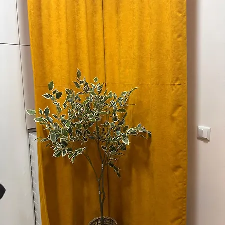 Dele Free Parking דירה *