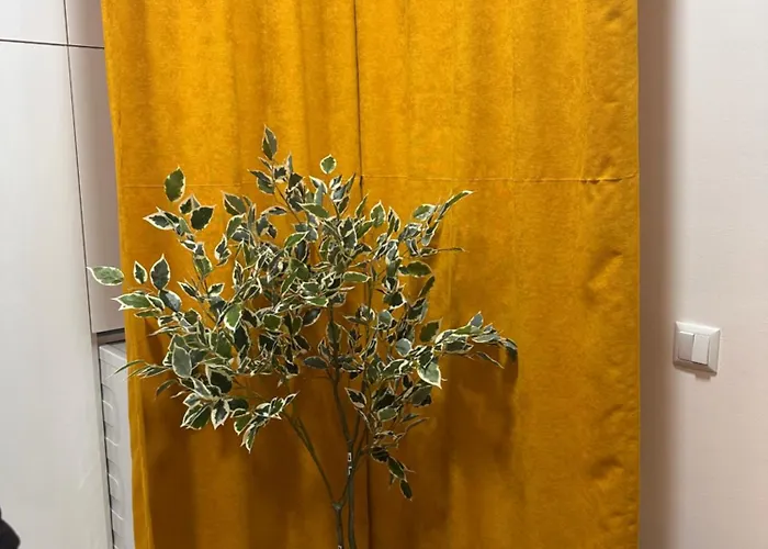 Dele Free Parking شقة *